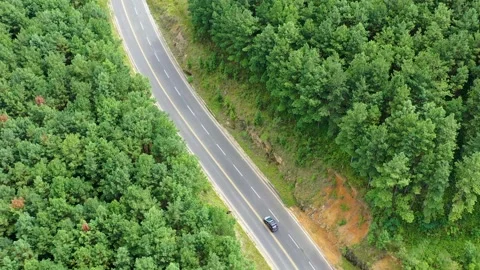 Drone view of  SUV on. A road trip through the forests of  Brazil 스톡 동영상 264095275