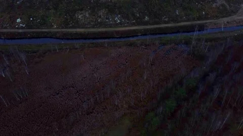 Drone View of Swamp. City Garbage Dump Video stock 143356019