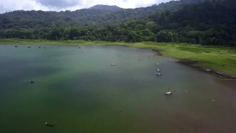 Drone view Tamblingan lake, Bali, Indonesia Stock Footage 141502002