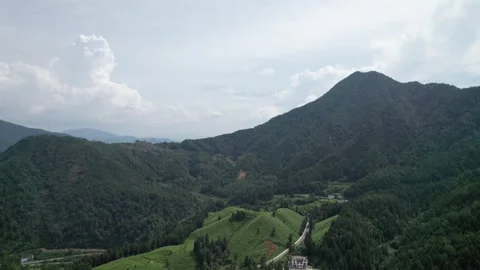 Drone view of tea terrace fields and green mountains in Wuyuan, Jiangxi, China. Stock Footage 285700748