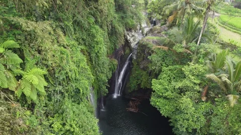 The drone view of Tebela Waterfall in Banyumas Regency Stock Footage 292229695
