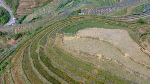 Drone View of Terrace Rice Fields in Mu Cang Chai, Northern Vietnam Stock Footage 276641554