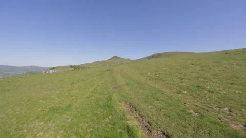 Drone view through a meadow Stock-Footage 131305910