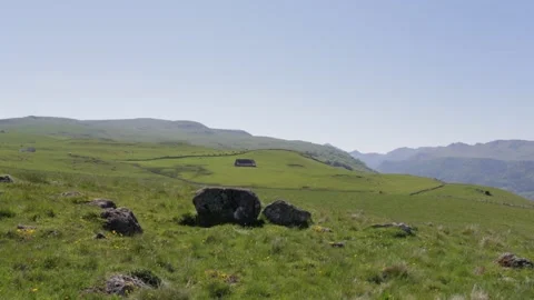 Drone view through a meadow in mountains Stock Footage 131305769