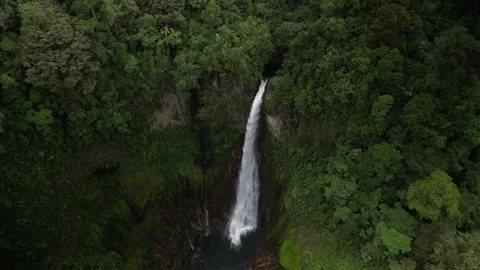Drone view tilt down on Catarata del Toro waterfall in Bajos Del Toro Costa Rica Stock Footage 330214104