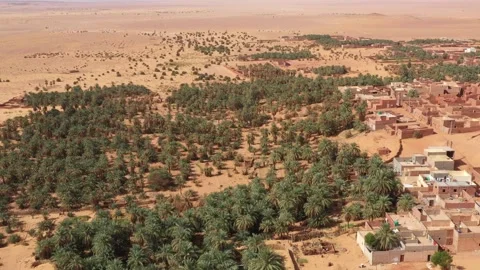 Drone view of the Timimoun oasis surrounded by the Sahara Desert,  palm groves Stock Footage 341259114
