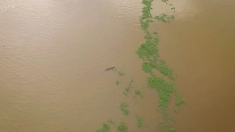 Drone view of a tiny indigenous canoe cruising the Orinoco River between Stock Footage 145625353