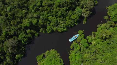 Drone View of a Traditional River Boat Navigating a Rio Negro - Amazon, Brazil Stock Footage 336912600