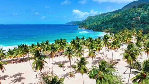Drone view of tranquil beach scene for travel inspiration. Stock Footage 308403263