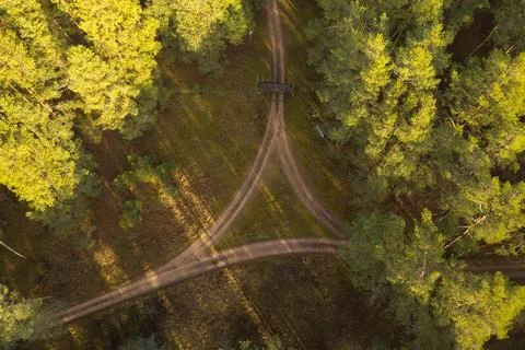 Drone view of tree way dirt road intersection in a forest. Stock Photos