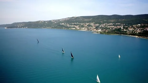 Drone of view of the Trieste bay during a regatta 스톡 동영상 262254652