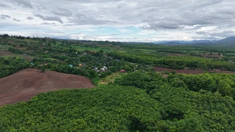 Drone View of Tropical Forest After Rainfall Stock Footage 310513552