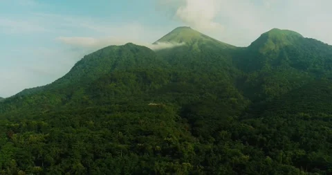 Drone view of tropical forest valley with soft sunlight rays and morning haze Stock-Footage 333308043