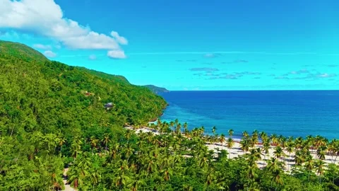 Drone view of tropical palm beach on Caribbean coast. Stock Footage 313866465