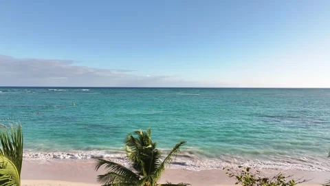 A drone view of the tropical palm trees with coconuts and the ocean in the backg Stock Footage 300498665