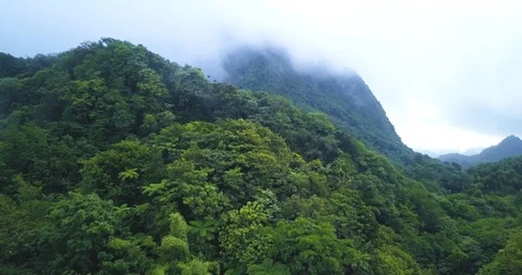 Drone view of a tropical rainforest mountain with clouds and mist Stock Footage 98735175