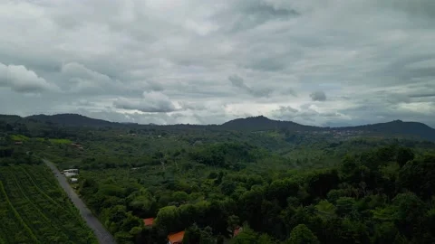 Drone view of a Tropical Rainforest Mountain Stock Footage 146885139