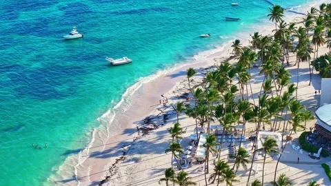 A drone view of a tropical resort beach with palm trees. Stock Footage 327691489