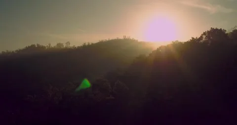 Drone view of tropical river and forest landscape at sunrise Video stock 332888165
