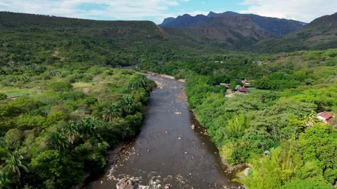 Drone view of tropical river ecosystem, Dense vegetation and natural beauty Stock Footage 320146212