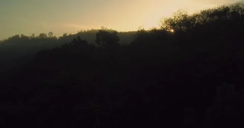 Drone view of tropical river flowing through forest at sunrise Stock Footage 332887524