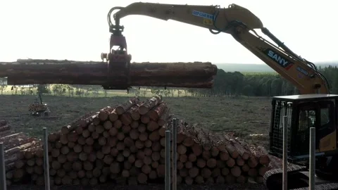 Drone view of truck picking up log Stock Footage 172559210