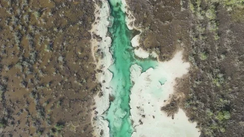 DRONE VIEW OF TURQUOISE LAGOON, BACALAR Video stock 203797059