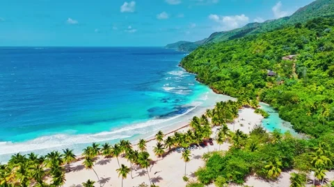 Drone view of turquoise sea waves on white sand of Dominican palm beach. Stock Footage 302987478