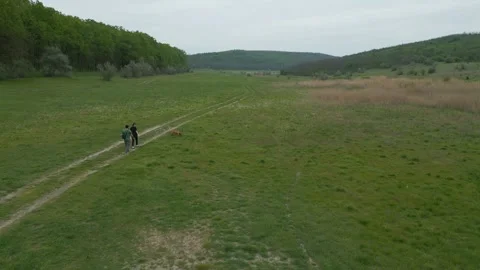Drone View of Two People Walking With Dog Along Rural Path Stock Footage 341765705