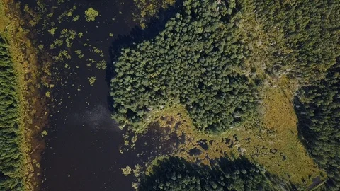 Drone view under forest lake 库存影片 105275269