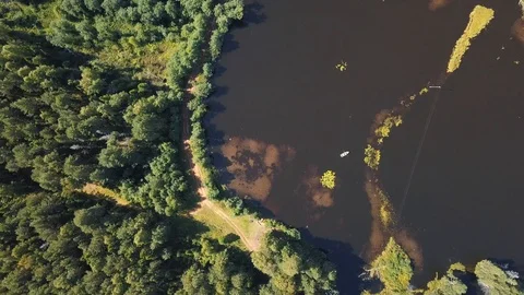 Drone view under forest lake 库存影片 105275281