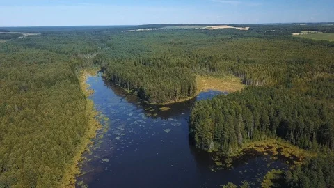 Drone view under forest lake Stock Footage 105275284