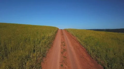 Drone view under green field with road Stockbeeldmateriaal 105274932