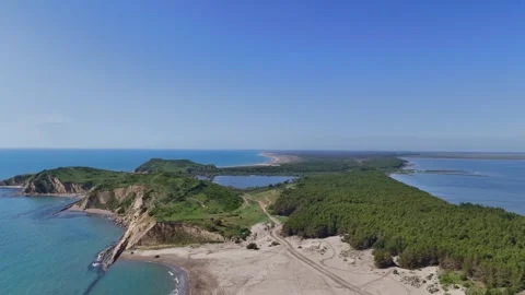 Drone View of Untouched Coastline and Forest Lagoon Stock Footage 335631264