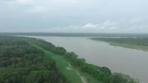 Drone view of the vast Amazon Basin in Colombia Stock Footage 283866925