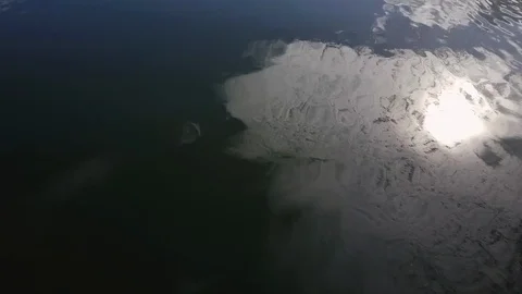 Drone view of vast ocean overlooking buildings in downtown along coastline Video stock 114854624