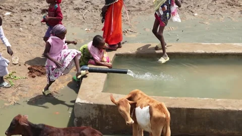 Drone view of village children drinking water beside animal trough, April 25, 스톡 동영상 334821753
