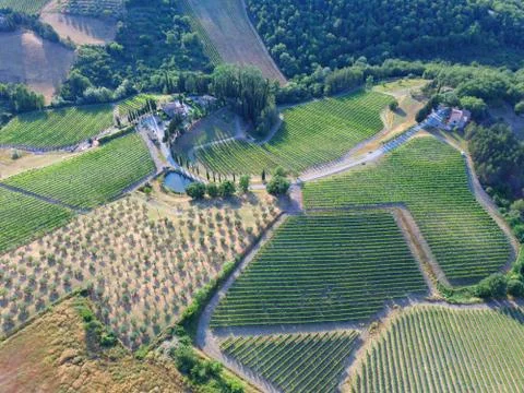 Drone view vineyard Stock Photos