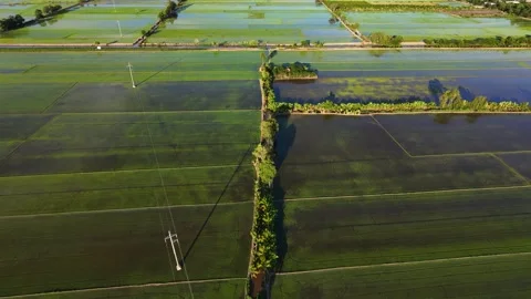 Drone View Of Water Canal Dividing Rural Agricultural Paddies Vidéo 340548101