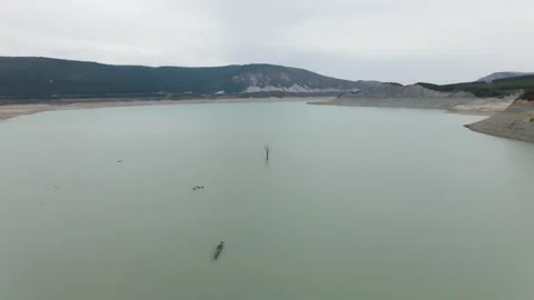 Drone view of water in a reservoir with a leafless tree in the middle of it Stock Footage 221551253