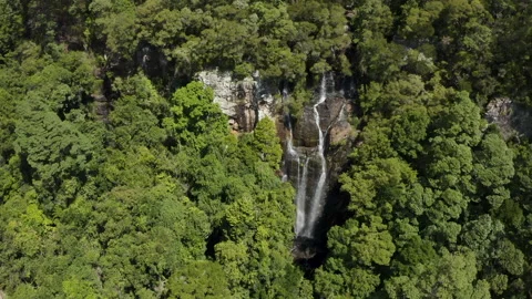 Drone view of waterfall in ancient rainforest in Springbrook, Australia, QLD Stock Footage 236523507