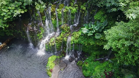 Drone view of waterfall with natural pool and lush tropical plants 動画素材 338328700