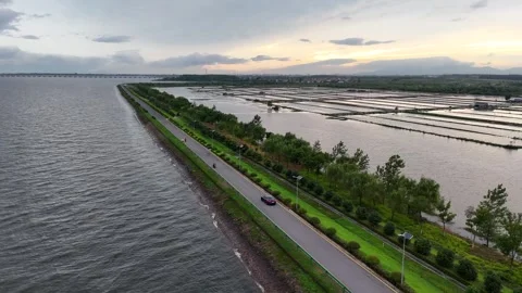 Drone view of waterfront road between lake and wetlands in China Stock Footage 337887922
