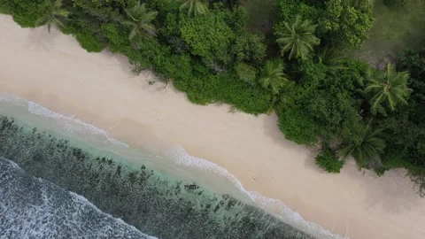Drone view of waves meeting beach and forest Praslin Seychelles Stock Footage 152261930