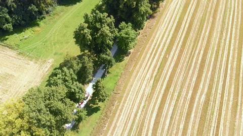 Drone view of wedding path near fields and trees Stock Footage 318217840