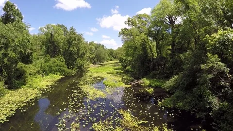 Drone view of Wekiwa river Video stock 97201720