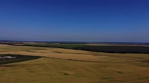 Drone view of the wheat fields. Stock Footage 111392264