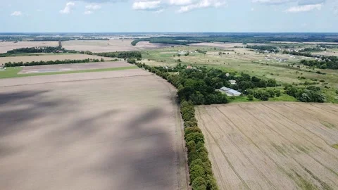 Drone view of wheat fields Stock-Footage 159062065