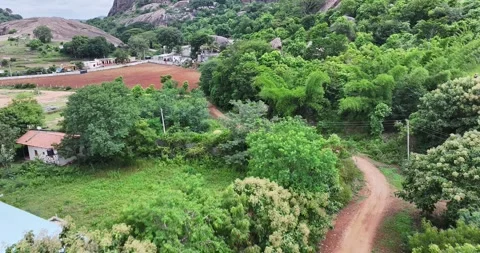 A drone view of where the forest path leads to open ground and rocky peaks .. 스톡 동영상 325949518