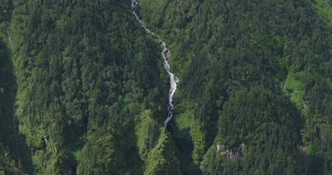 Drone view of white cascade waterfall flowing through dense pine forest in Stock Footage 346450670